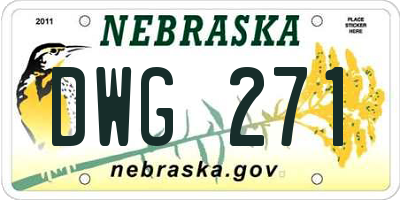 NE license plate DWG271