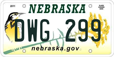 NE license plate DWG299