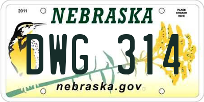 NE license plate DWG314