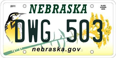 NE license plate DWG503