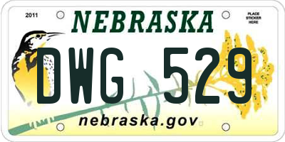 NE license plate DWG529