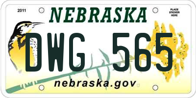 NE license plate DWG565