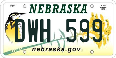 NE license plate DWH599