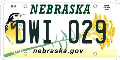 NE license plate DWI029