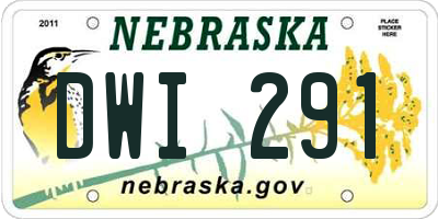 NE license plate DWI291