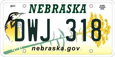 NE license plate DWJ318