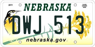 NE license plate DWJ513