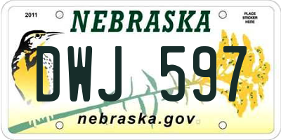NE license plate DWJ597