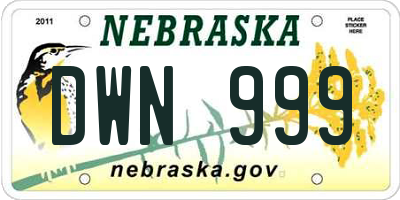 NE license plate DWN999