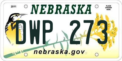 NE license plate DWP273