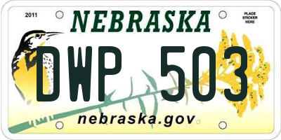 NE license plate DWP503