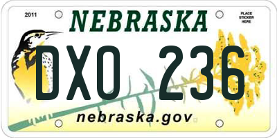 NE license plate DXO236