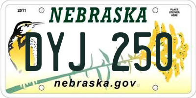NE license plate DYJ250