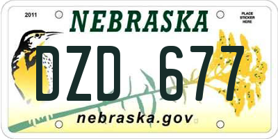 NE license plate DZD677