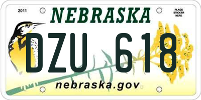 NE license plate DZU618