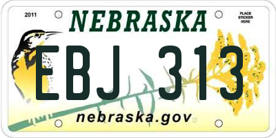 NE license plate EBJ313