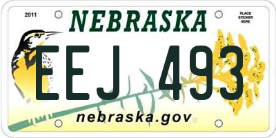 NE license plate EEJ493