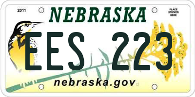 NE license plate EES223
