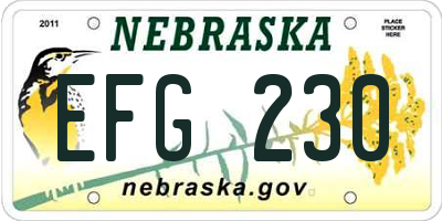 NE license plate EFG230