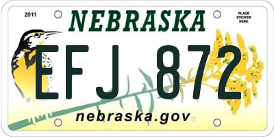 NE license plate EFJ872