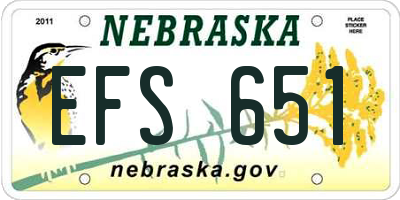 NE license plate EFS651