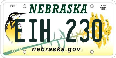 NE license plate EIH230