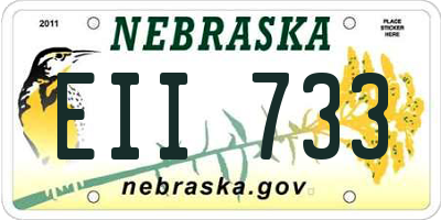 NE license plate EII733