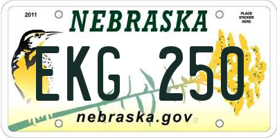 NE license plate EKG250