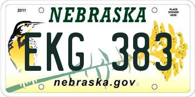 NE license plate EKG383