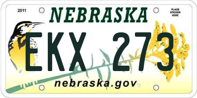 NE license plate EKX273