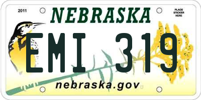NE license plate EMI319