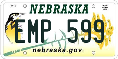 NE license plate EMP599