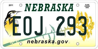 NE license plate EOJ293