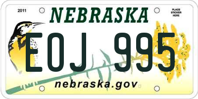 NE license plate EOJ995