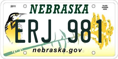 NE license plate ERJ981