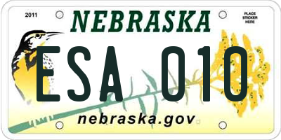 NE license plate ESA010