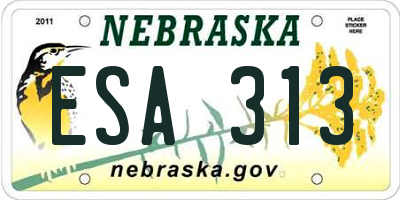 NE license plate ESA313