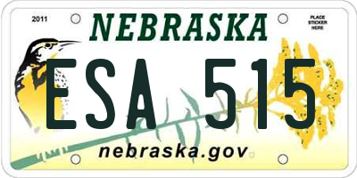 NE license plate ESA515