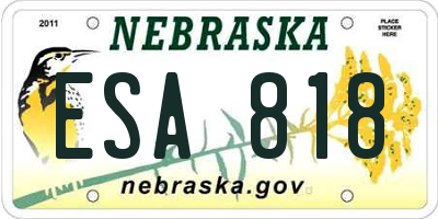 NE license plate ESA818