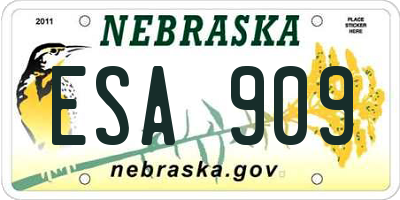 NE license plate ESA909