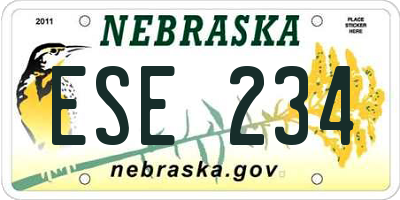 NE license plate ESE234