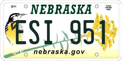NE license plate ESI951