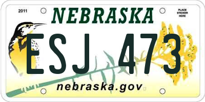 NE license plate ESJ473