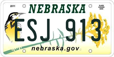 NE license plate ESJ913