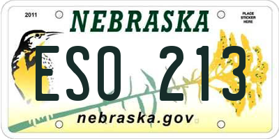 NE license plate ESO213