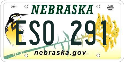 NE license plate ESO291