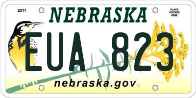 NE license plate EUA823