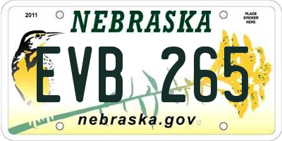 NE license plate EVB265
