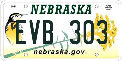 NE license plate EVB303