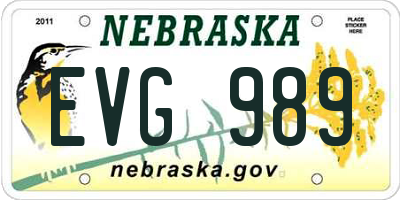 NE license plate EVG989